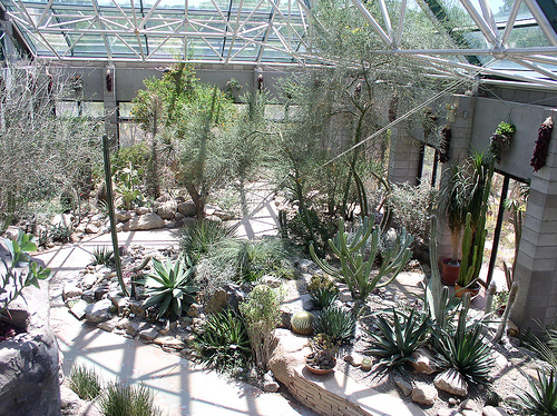 Desert Conservatory