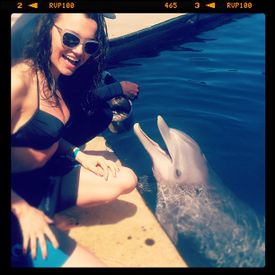Tara dolphin.jpg
