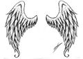 Angel wings2.jpg