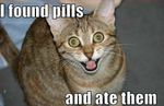 CatPills.jpg