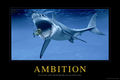 Ambition.jpg