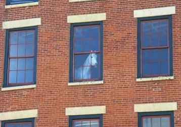 A white horse at the window of a high building floor.